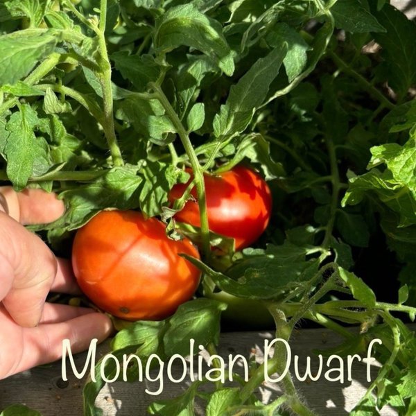 594022554_0a62e996-5fef-4e74-8713-032252069f51