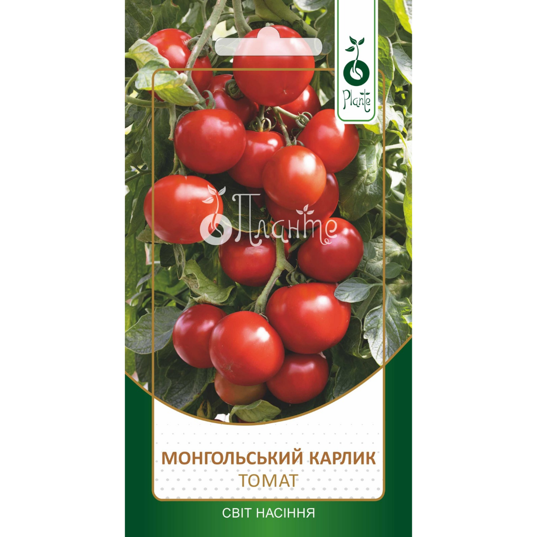 Copy of Cream Orange Green Organic Delicate Cyber Monday Square Cyber Monda_20250418_170031_0000