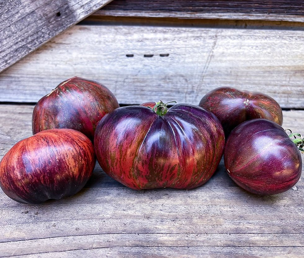 9d9d0f_368dc3e343d1428aaae893fdb766fd9e~mv2