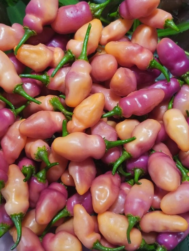 Cf33Me4TQqKF82AopKpsKsuT8PvUTAZ_8DEcYV0-Hfg