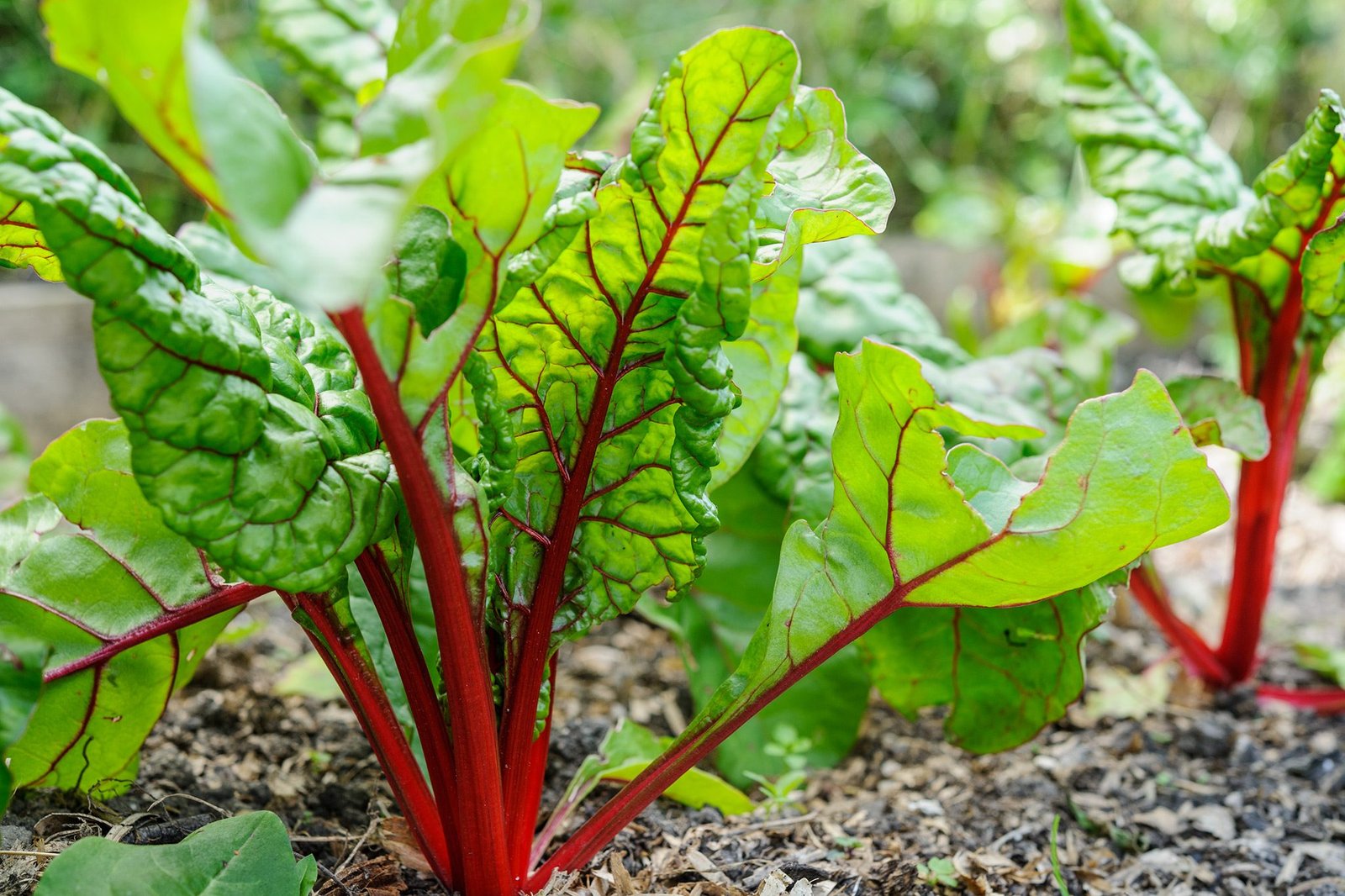 50a11ba4-6f52-427a-9a1a-8d413d26be58-1257478