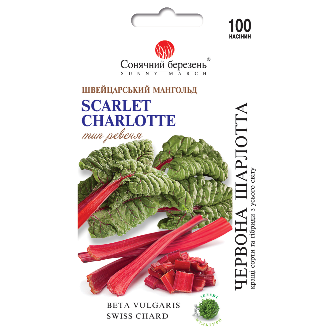 Copy of Copy of Cream Orange Green Organic Delicate Cyber Monday Square Cyb_20250626_092453_0000