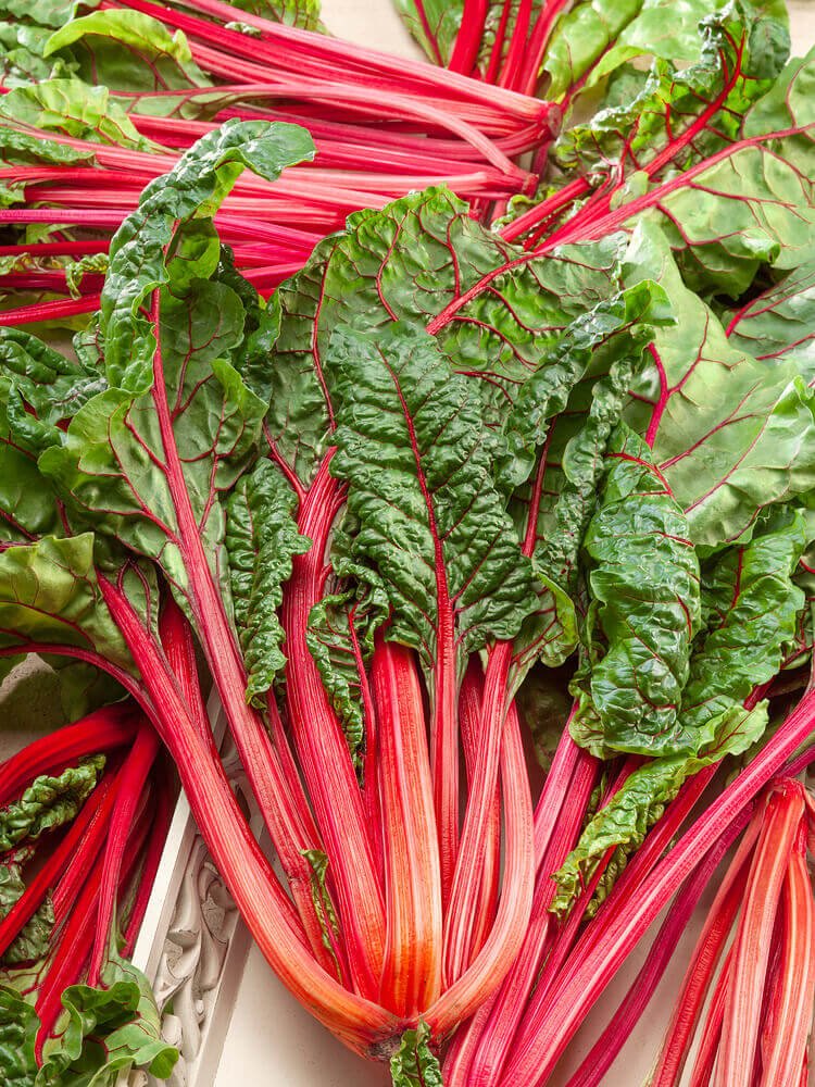 Rhubarb-Swiss-Chard-Seeds-2180