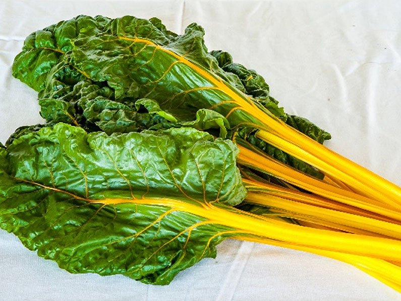 Sakata-Images_0068_eldorado