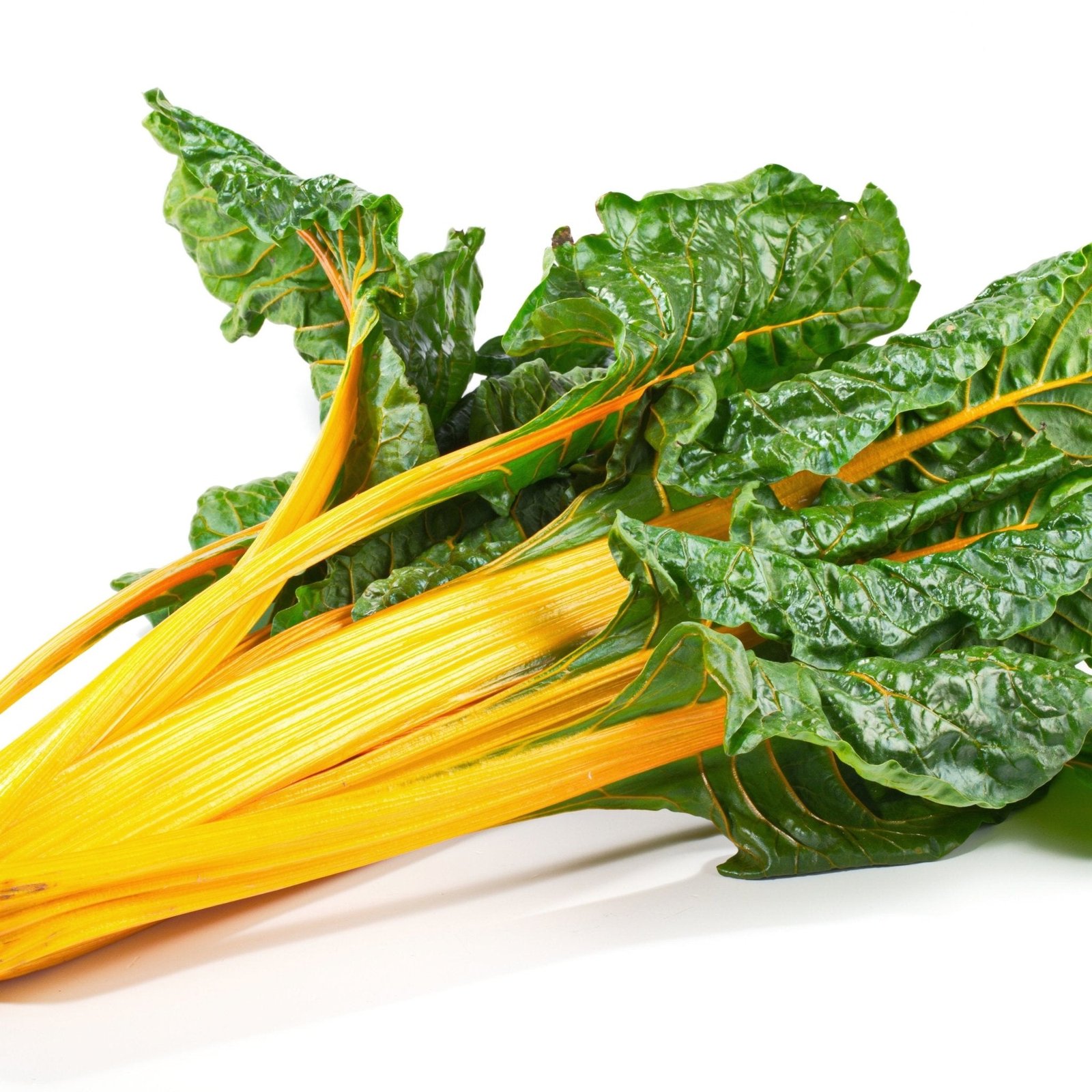 chard-seeds-swiss-eldorado-vegetable-seeds-alliance-of-native-seedkeepers-sc8-633917
