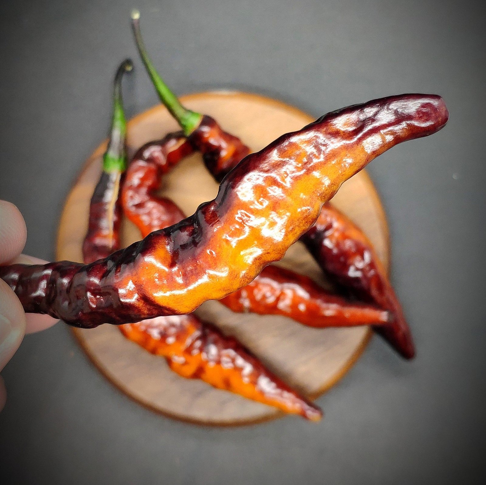 original_8dfbe00d-29ca-4b4d-889d-8af6944affff