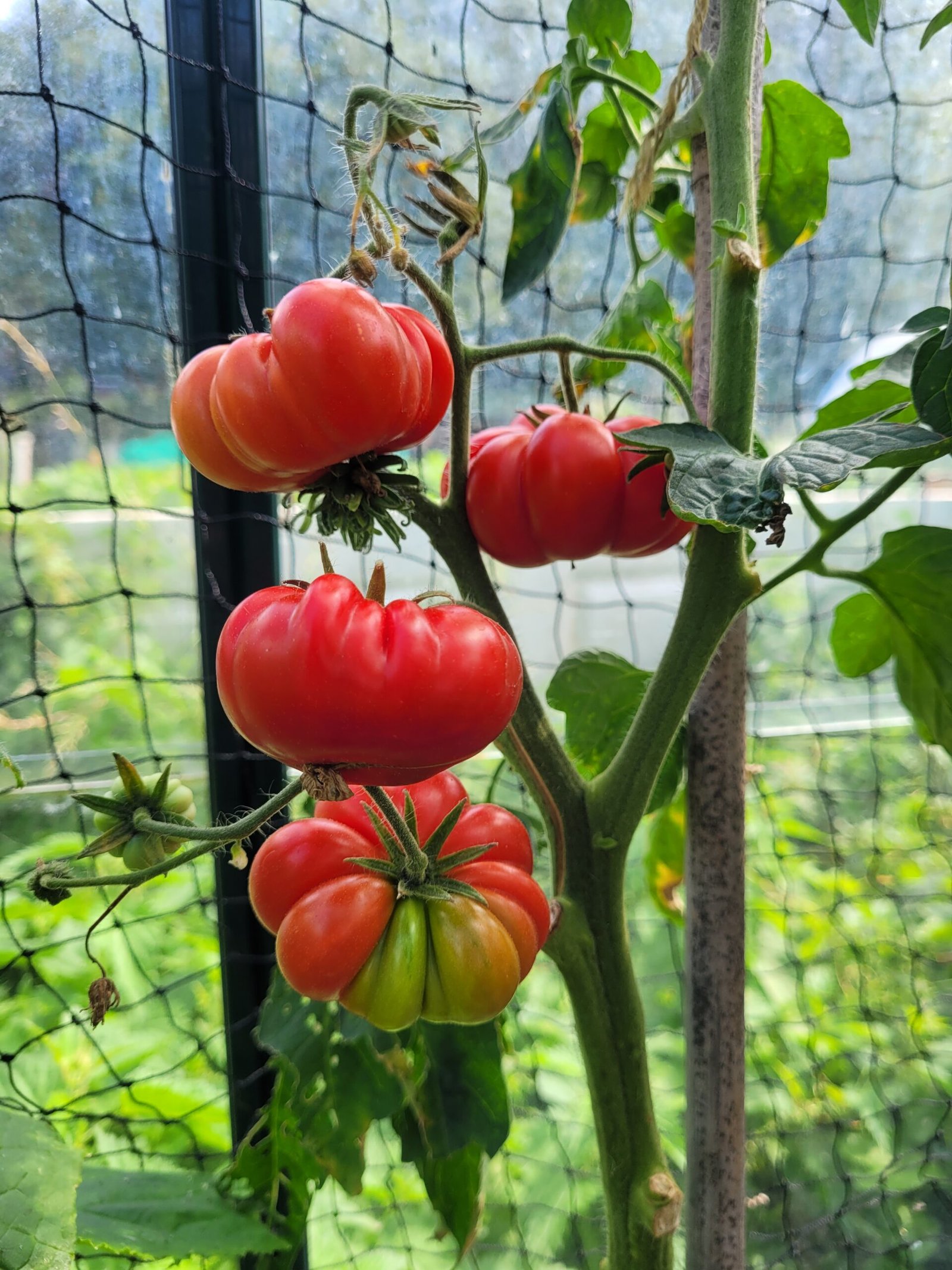 20240829_135710-scaled