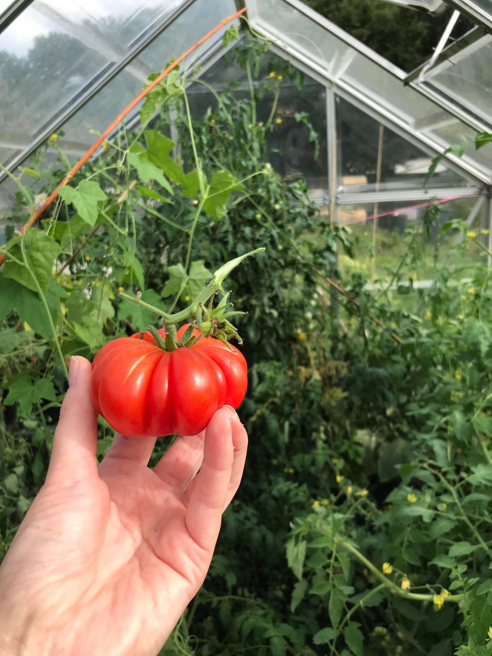 307569603_841032686902825_7692804481073667962_n-scaled