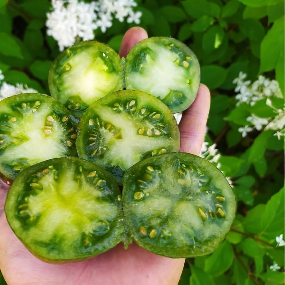 61KQ95XQiwL._UF1000,1000_QL80_