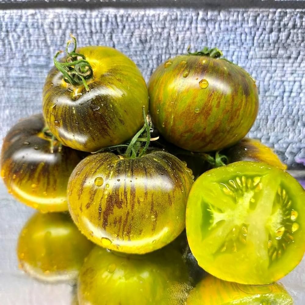 71LZLrr8esL._UF1000,1000_QL80_