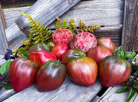 9d9d0f_5b279c5cb44347f996de83901fa310a7~mv2