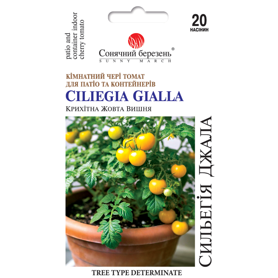 Copy of Copy of Cream Orange Green Organic Delicate Cyber Monday Square Cyb_20250724_180545_0000