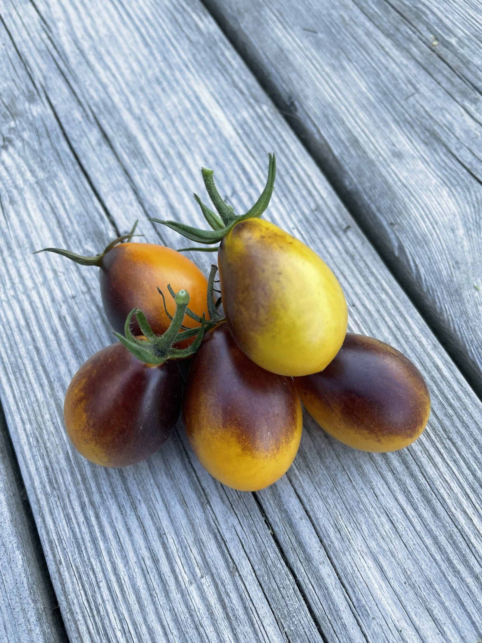 Indigo-Peardrops-2021-scaled