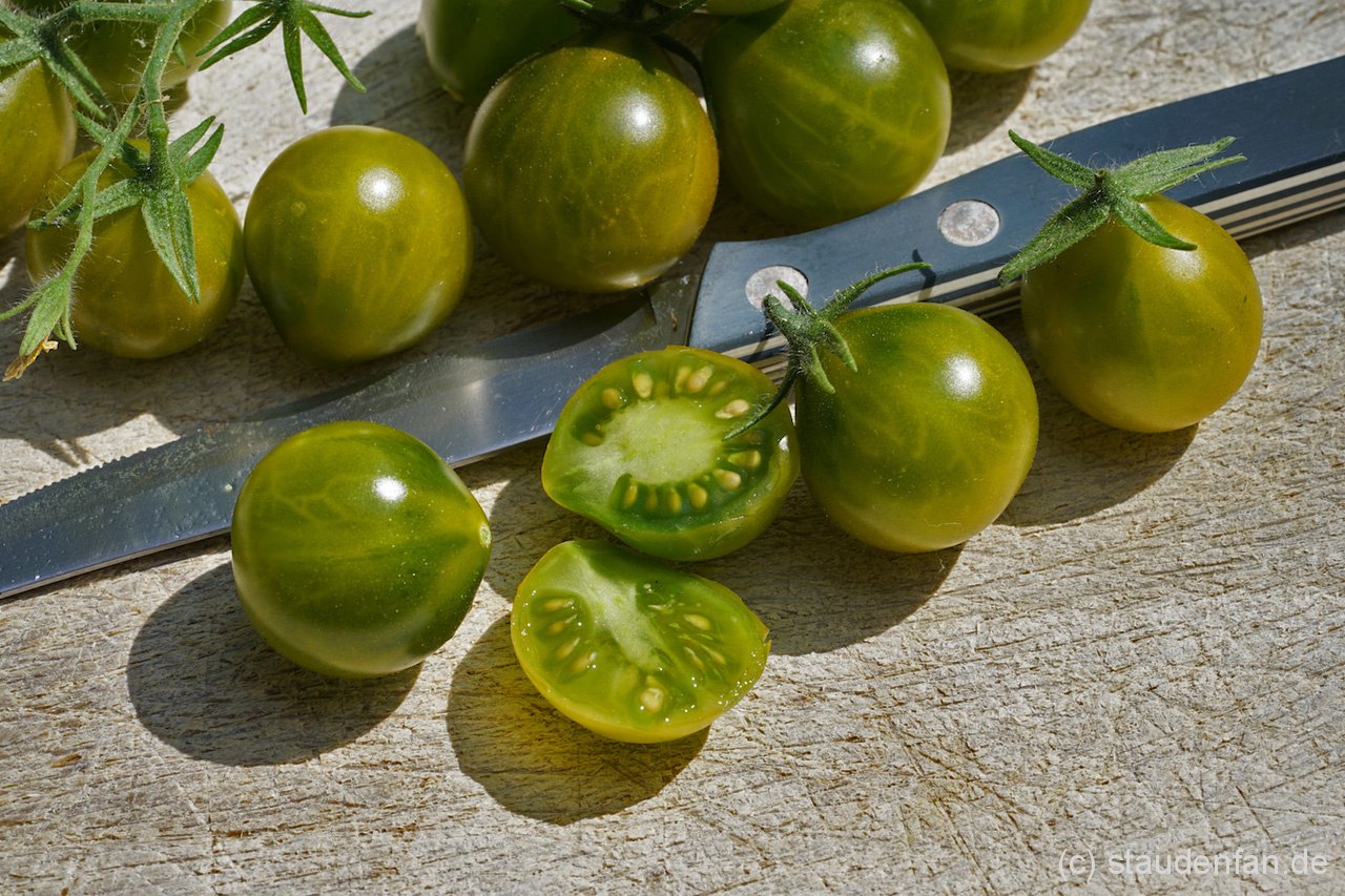 Kulinarisch-eine-Besonderheit-ist-das-Aroma-von-Traubenkernoel