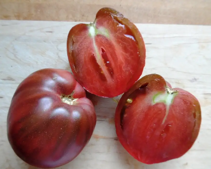 Lif3013e_purple-heart3-be0b1f6a-2ee3-465c-81f9-fc483c2f2504