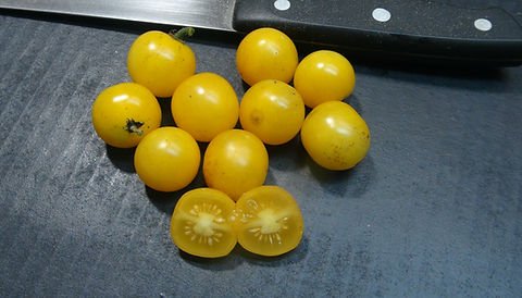 d45f52_0fff256fd47246db9683581984c4179e~mv2