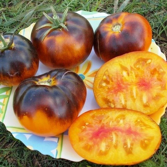 full_yantarnaya-galaktika