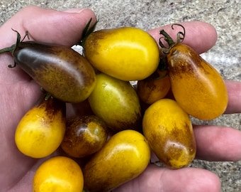 il_340x270.6057280623_st9h