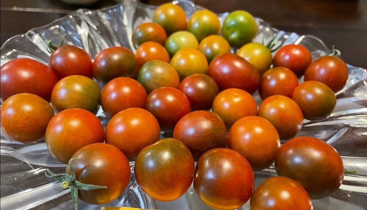 il_fullxfull.5243367023_n4sg