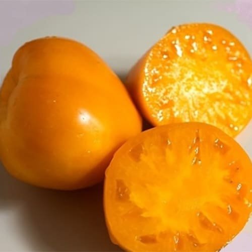 nasinnya-tomatu-determinantnogo-zolote-serce-nicssa-agriks-4_98xd-1w