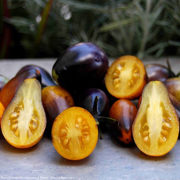 tomatoindigopeardrops2_grande
