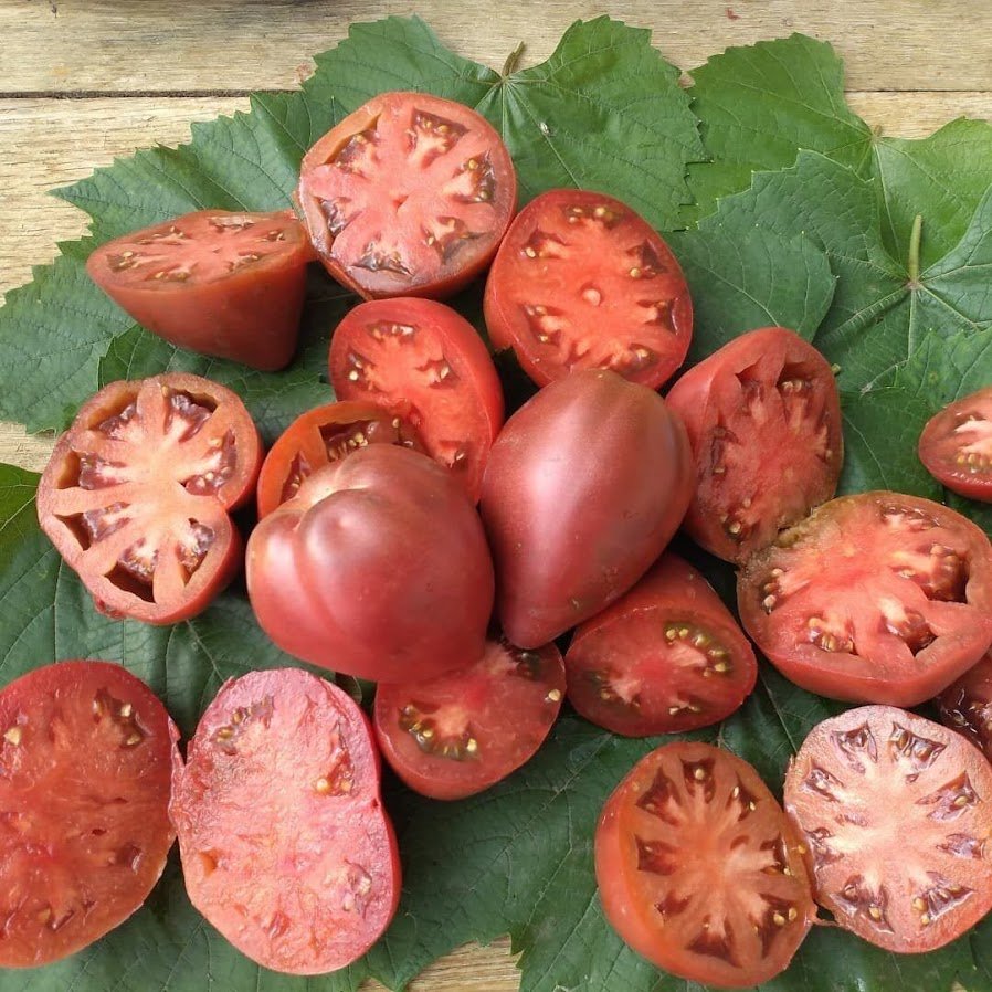 v9313cn4gcng4b38i7z0yhp9hlg6twwa