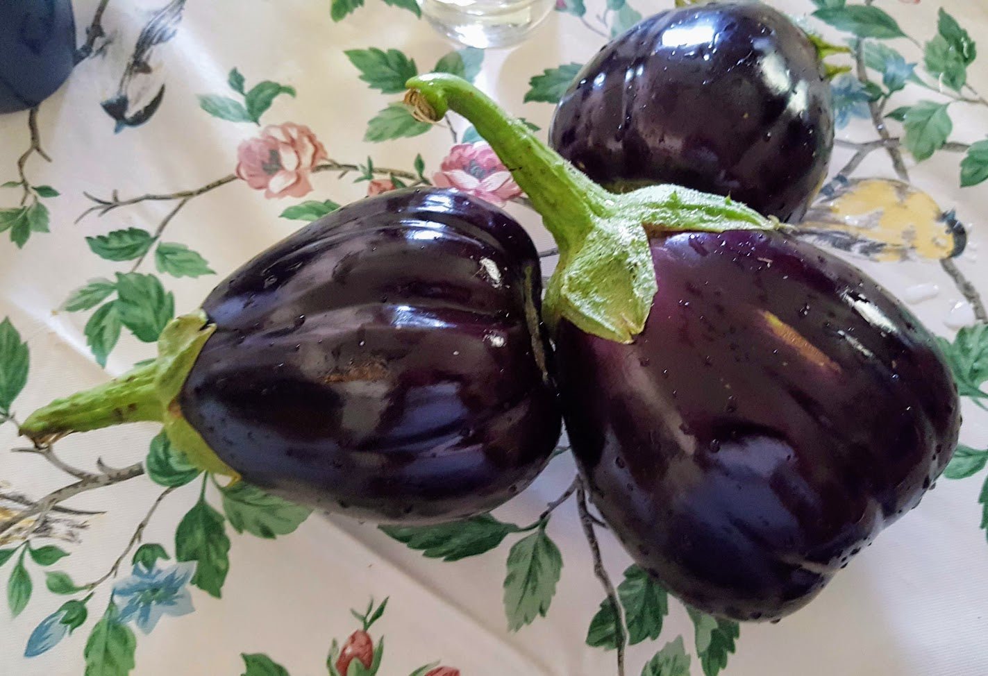 Eggplant_Imperial_Black_Beauty