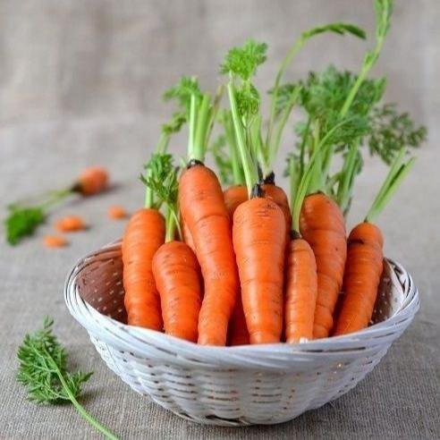 Carrot