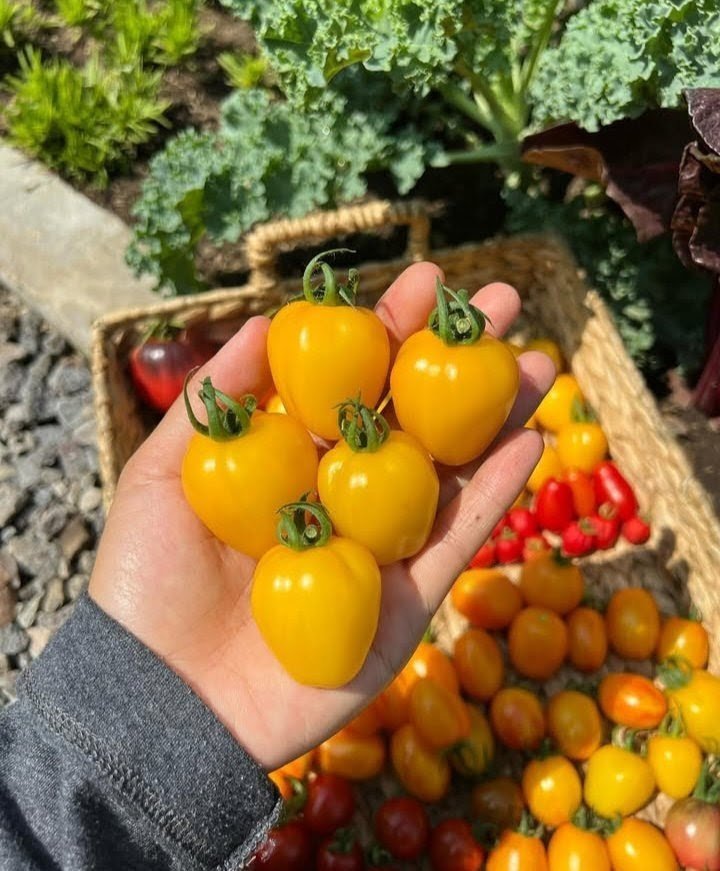 IMG_20250901_195828_023843~2