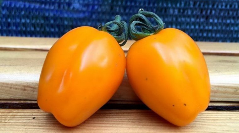 IMG_20250901_210430_023835