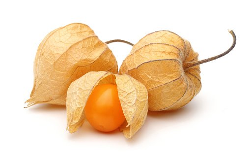 Physalis fruit or golden berry isolated on white background
