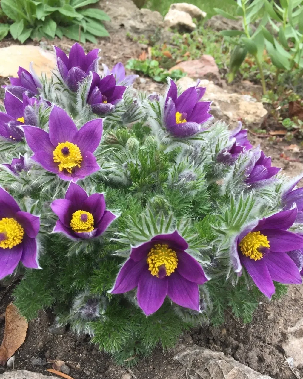 154062001662853147-e1690957740949