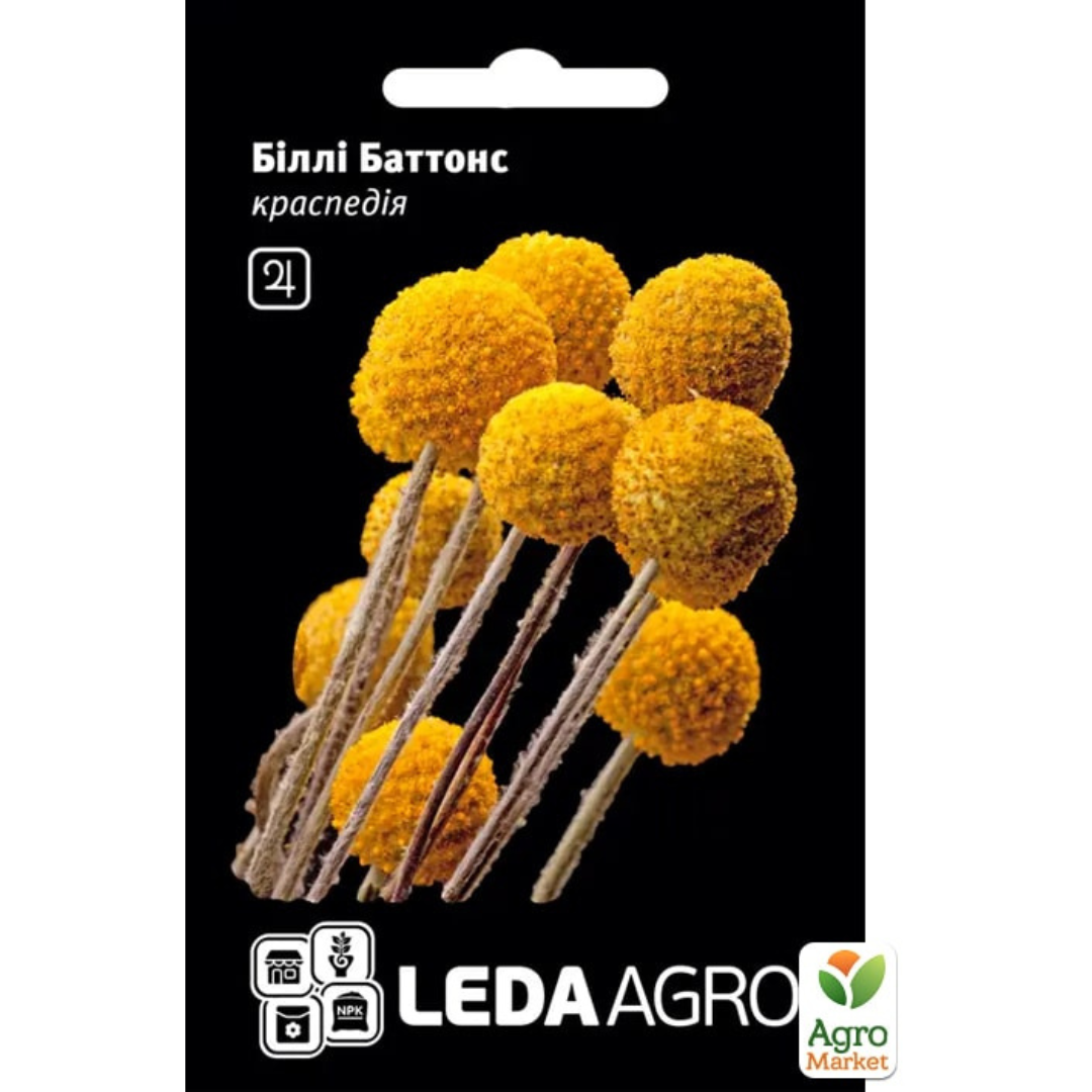 Copy of Cream Orange Green Organic Delicate Cyber Monday Square Cyber Monda_20251104_191238_0000