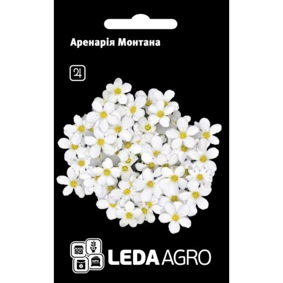 Copy of Cream Orange Green Organic Delicate Cyber Monday Square Cyber Monda_20251104_200756_0000