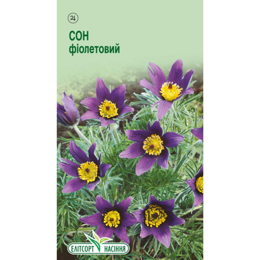 Copy of Cream Orange Green Organic Delicate Cyber Monday Square Cyber Monda_20251106_194307_0000