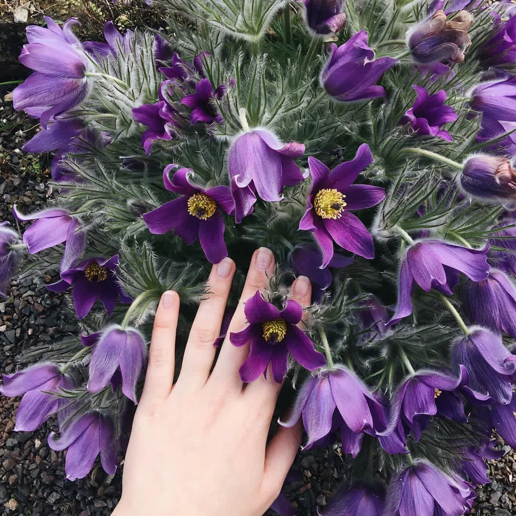 IMG_20230316_212141_495