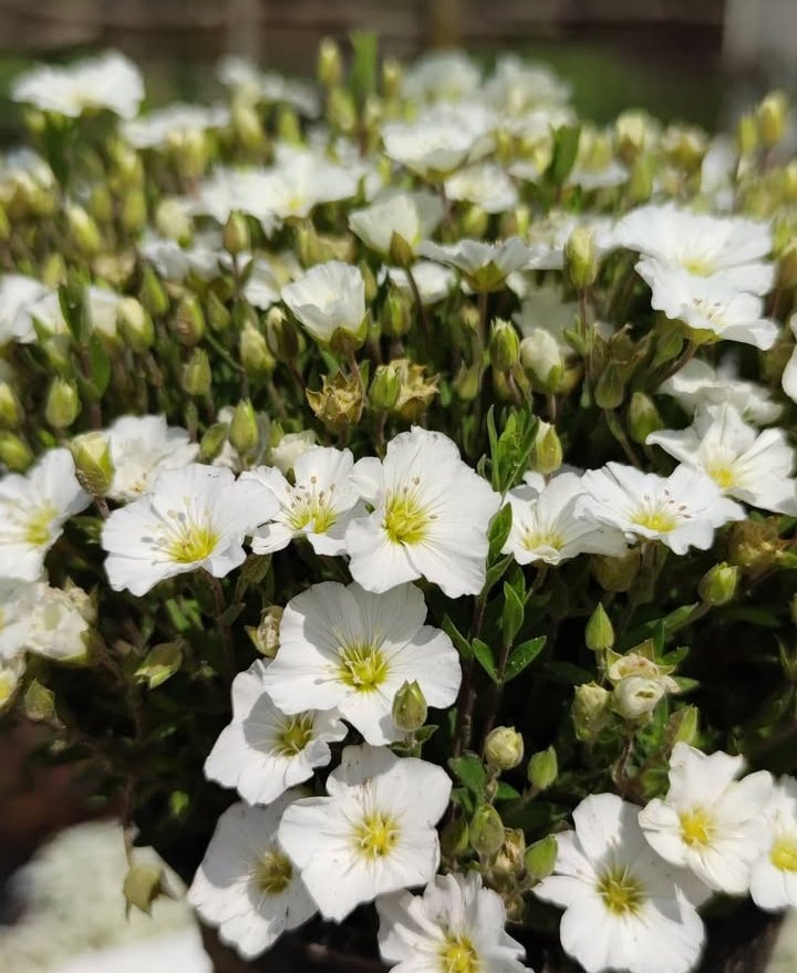 Screenshot_2025-11-05-19-15-57-92_1c337646f29875672b5a61192b9010f9