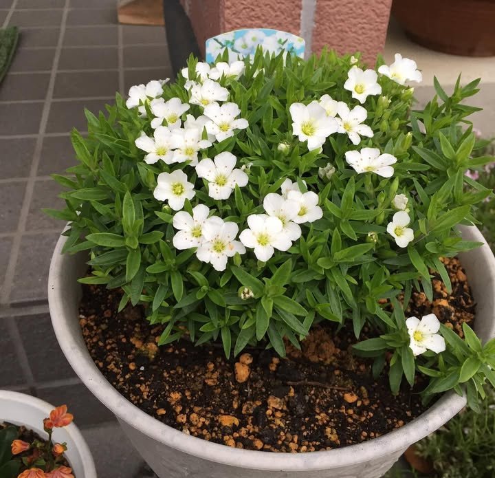 Screenshot_2025-11-05-19-18-01-24_1c337646f29875672b5a61192b9010f9