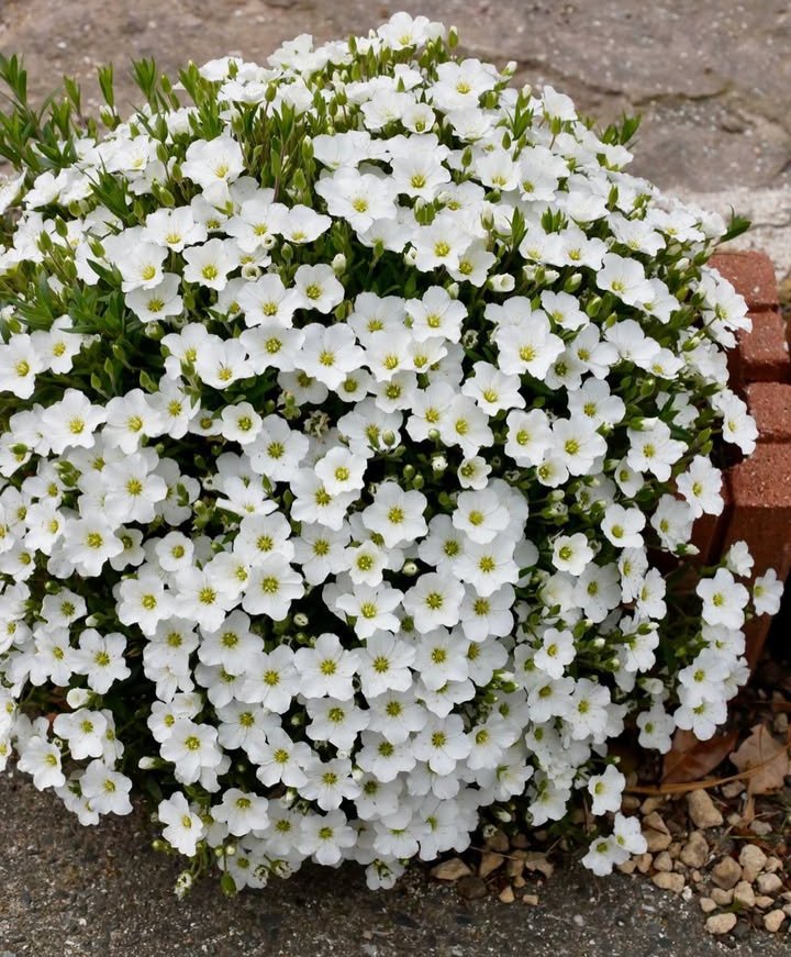 Screenshot_2025-11-05-19-18-29-42_1c337646f29875672b5a61192b9010f9