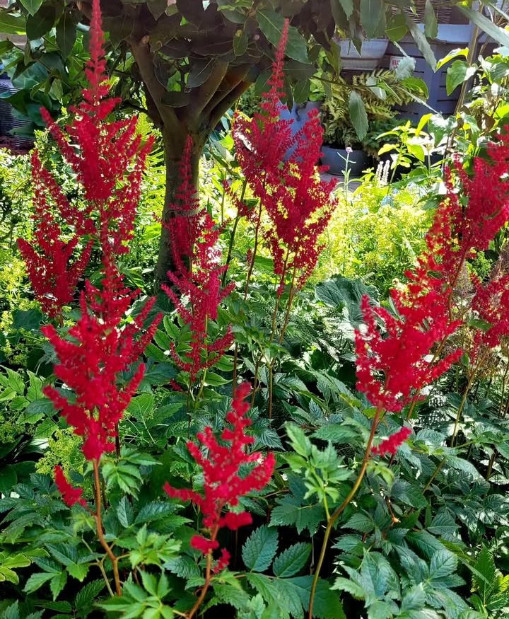 Screenshot_2025-11-26-22-31-17-17_1c337646f29875672b5a61192b9010f9