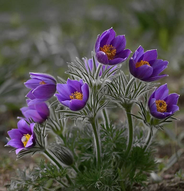 k1024_kadr_obrabotano