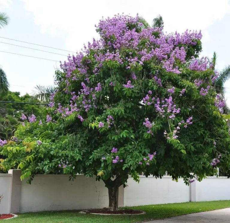 IMG_20220427_123344-768x745