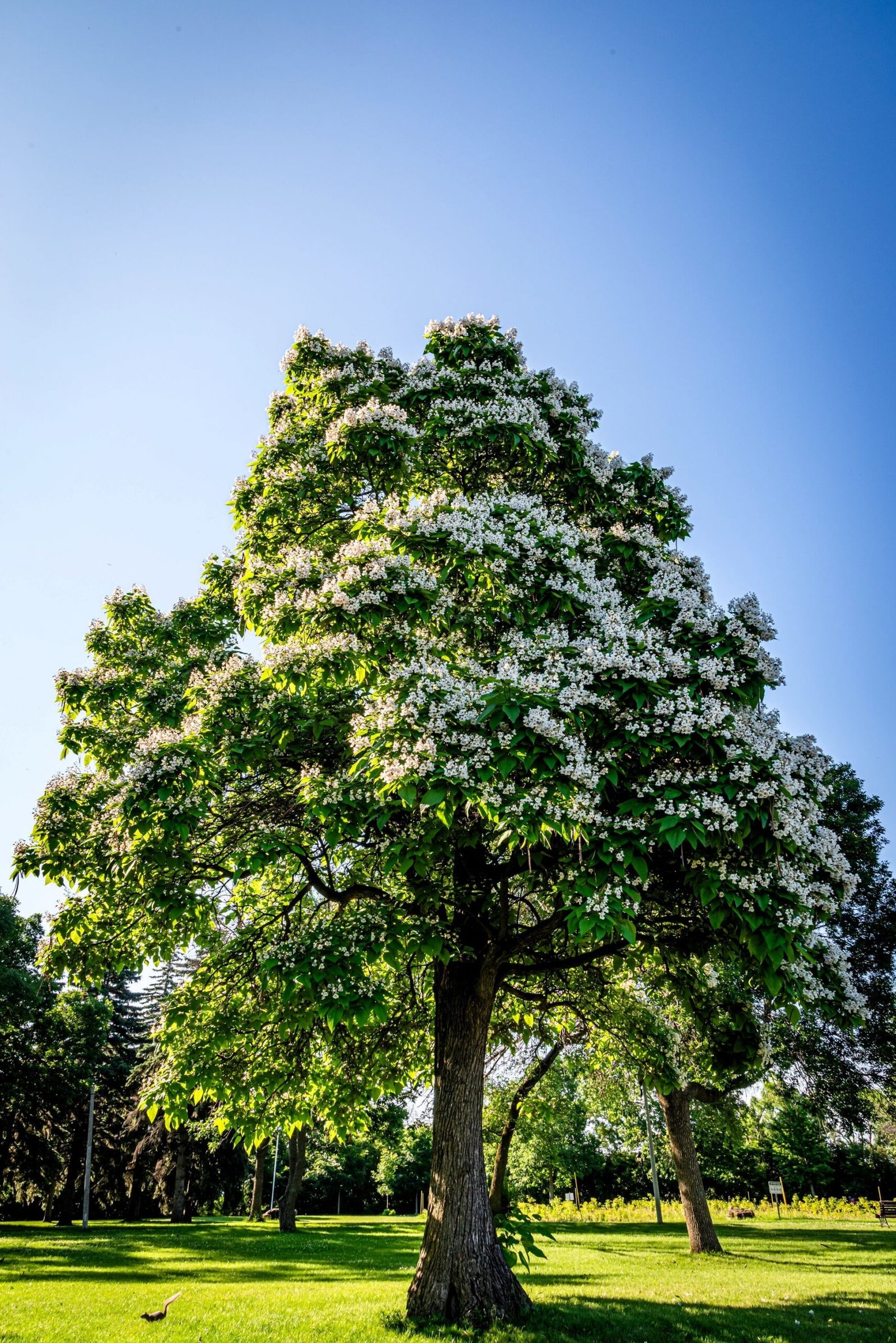 shutterstock_2351521557