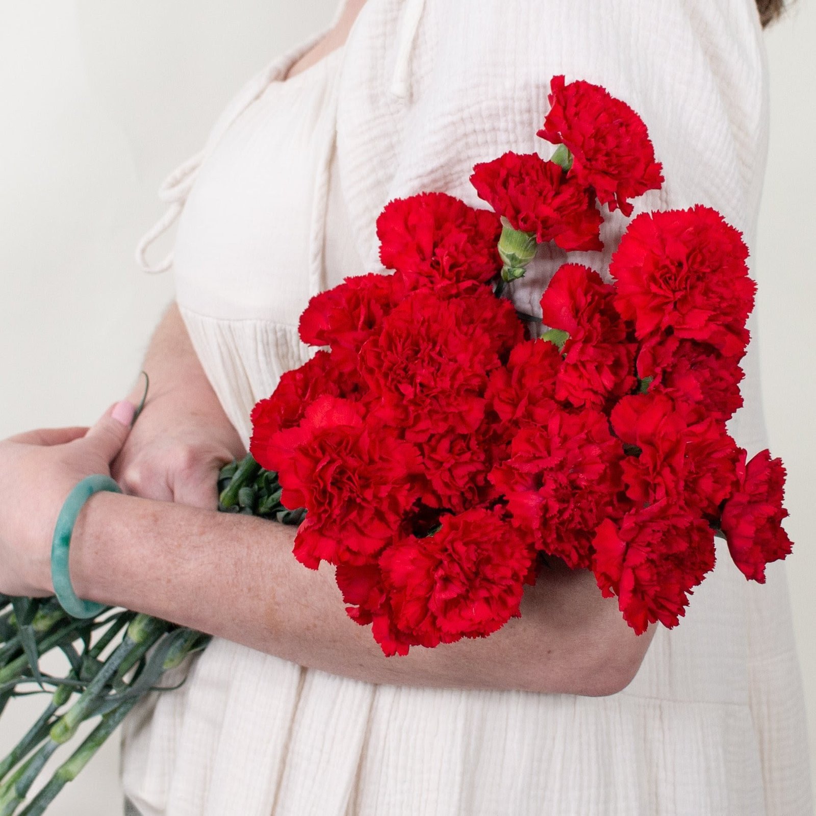 Carnations_Red-5~2