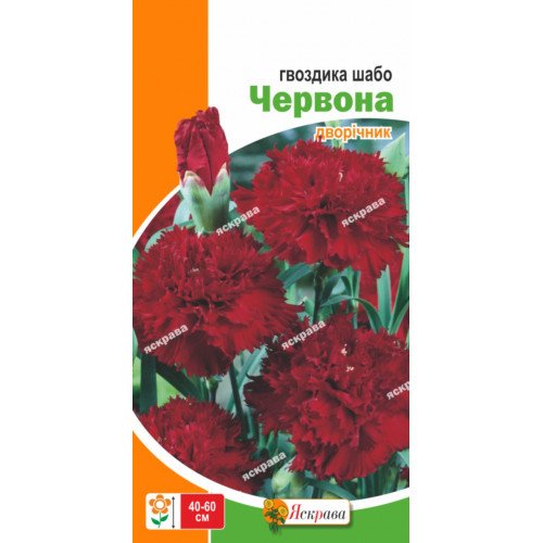 gvozdikashabochervona909715_1-500x500
