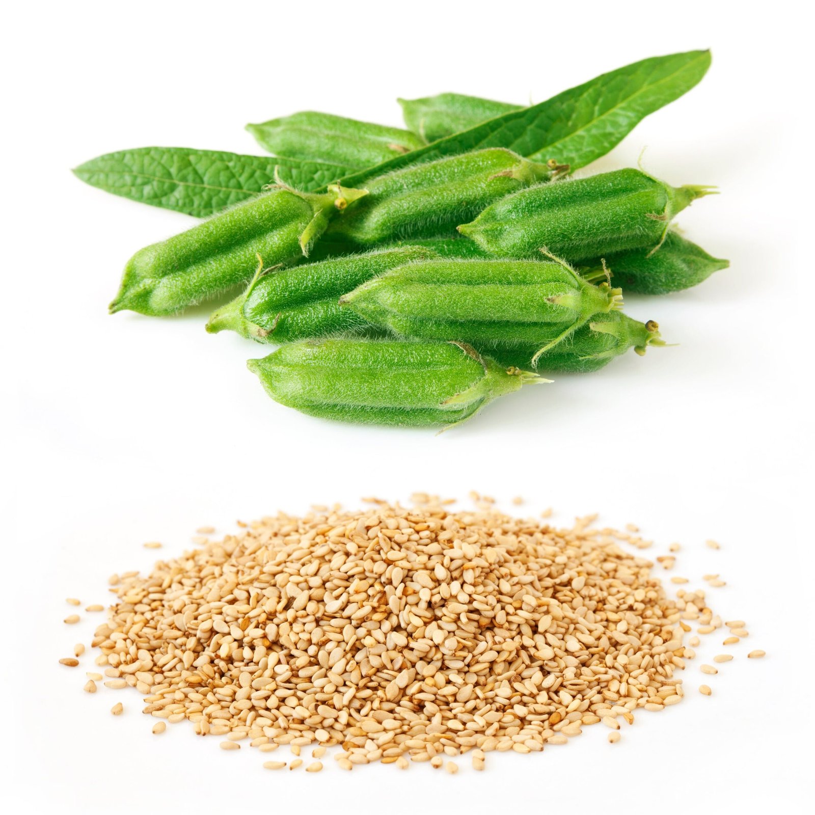 sesame