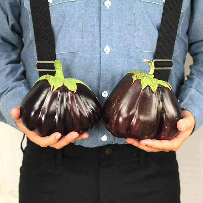 eggplant_black_beauty_tj_850x850_